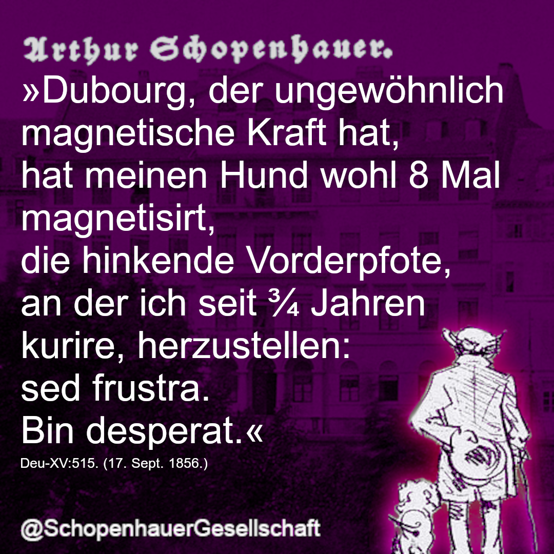 Arthur Schopenhauer Zitat